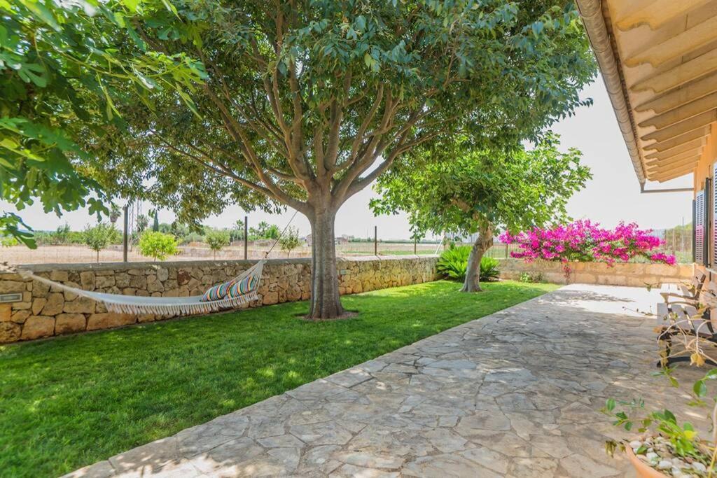 Finca Amer Sa Pobla Exteriér fotografie
