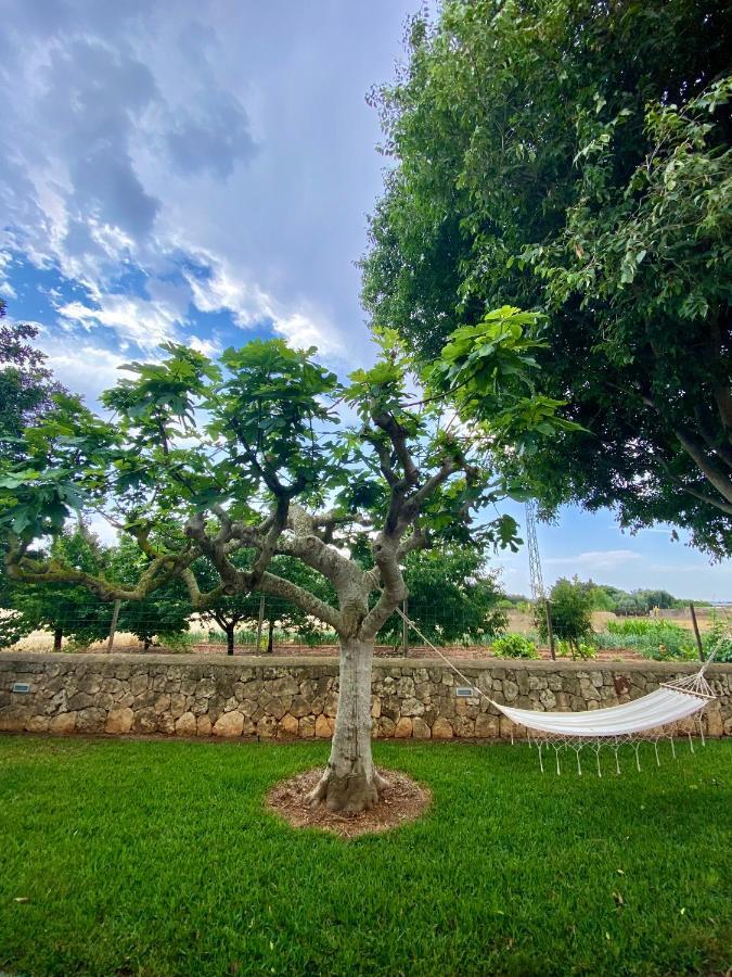 Finca Amer Sa Pobla Exteriér fotografie